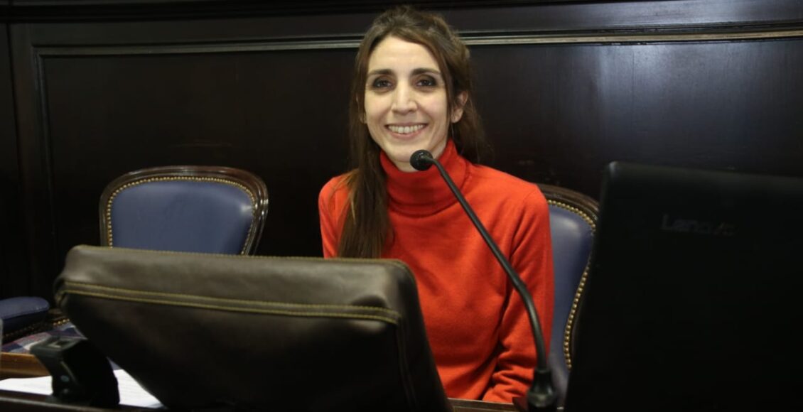 Mariana Larroque Diputada bonaerense del Frente de  Todxs